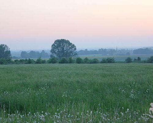 działki Bobolin 005