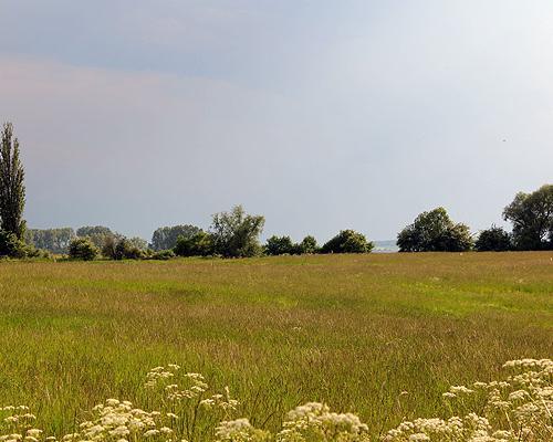 działki Bobolin 014