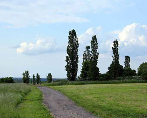 działki Bobolin 019