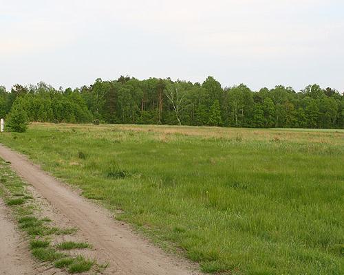 działki Borzysławiec 004