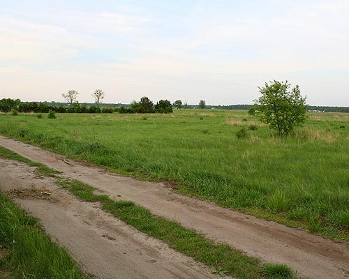 działki Borzysławiec 007