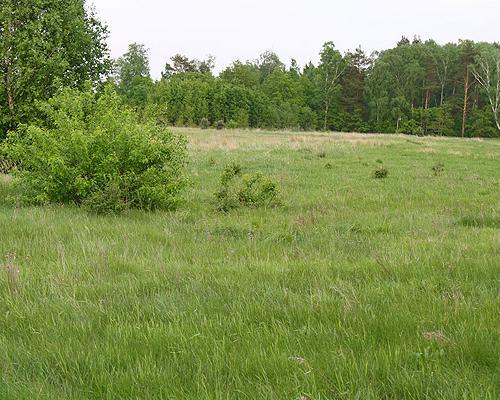 działki Borzysławiec 008