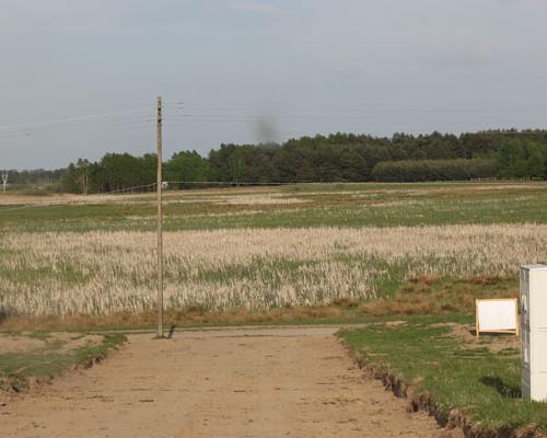 działki Miodowice 004