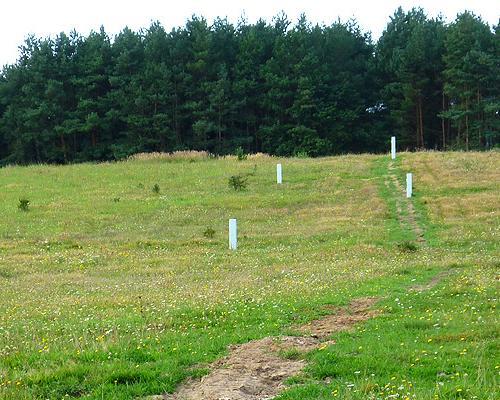 działki Miodowice 013