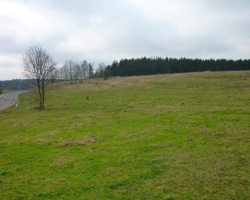 działki Miodowice 016
