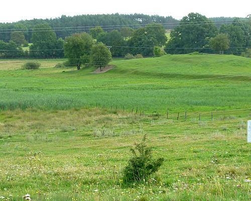 działki Miodowice 018