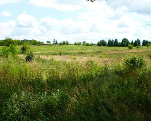 działki Mierzyn 031