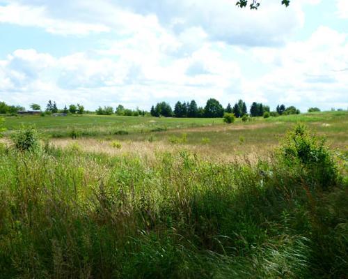 działki Mierzyn 034