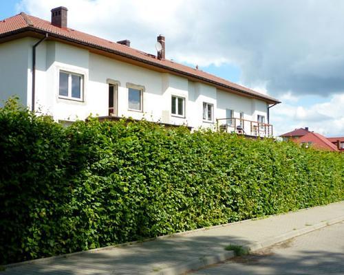 działki Mierzyn 038