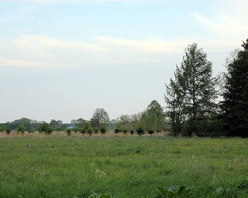 działki Rurzyca 013