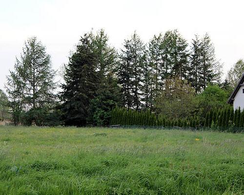 działki Rurzyca 016