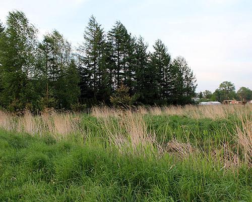działki Rurzyca 018